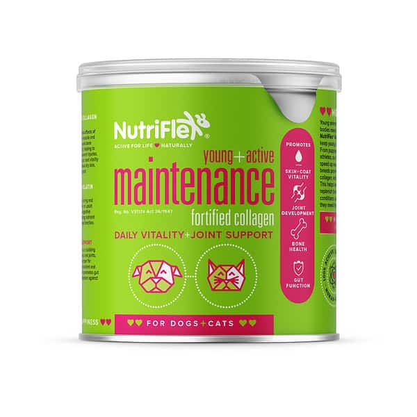 Nutriflex Everyday Maintenance Beef Collagen For Dogs And Cats 250G