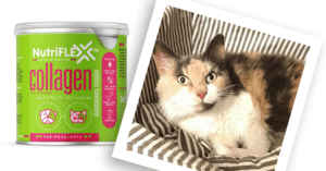 Nutriflex™ Hello Happiness With Pancake The Cat