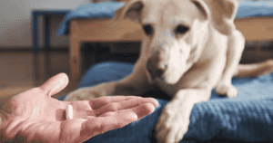 Nutriflex-Dog-Supplements-Min