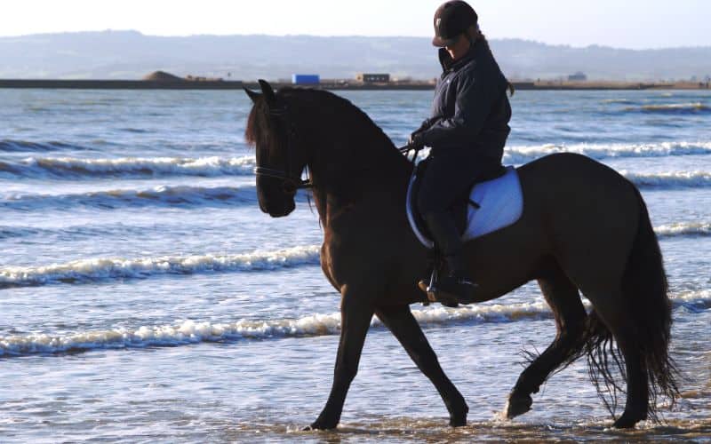 Horse-Supplements-Riding-On-Beach-Min