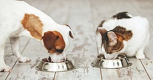 Human Food Grade Pet Supplements Dog And Cat Mealtime