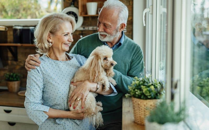 Joint-Supplements-For-Dogs-Mature-Couple-With-Poodle-Enjoying-By-Window-Min