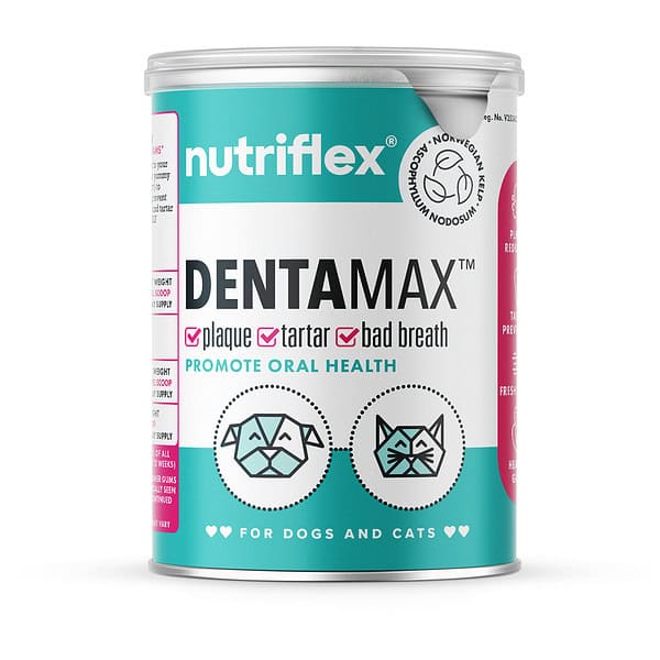 Nutriflex Dentamax Dental Powder For Dogs And Cats - 180G Can. Promotes Oral Health By Targeting Plaque, Tartar, And Bad Breath. Features Norwegian Kelp. Ideal For Maintaining Clean Teeth And Healthy Gums In Pets.