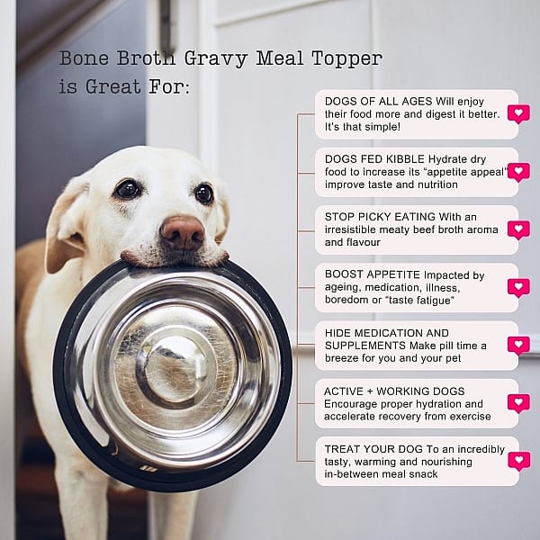 Infographic Chicken Broth Dog Gravy Meal Topper For Dogs Showing A Dog Holding Its Food Bowl