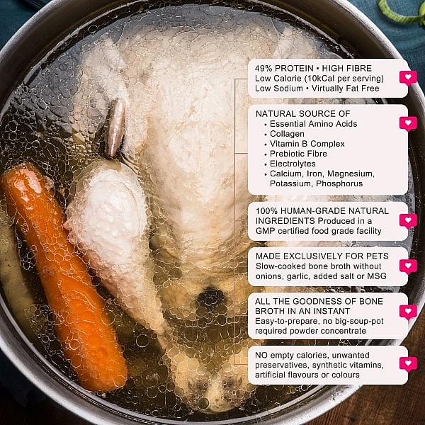 Chicken Both Broth For Dogs Cooking In A Large Pot