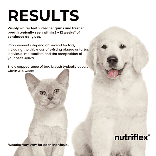 Kitten And Puppy Sitting Side By Side, With Text Describing The Results Of Using Dentamax Dental Powder: Whiter Teeth, Cleaner Gums, And Fresher Breath Typically Seen Within 3-12 Weeks Of Daily Use.