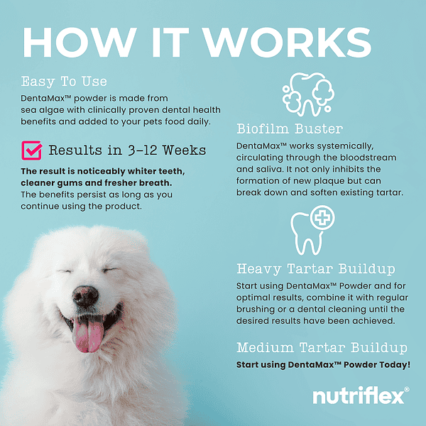 Happy White Dog With Text Explaining How Dentamax Dental Powder Works, Highlighting Its Ease Of Use, Sea Algae Ingredients, And Results In 3-12 Weeks. Benefits Include Reducing Plaque, Tartar, And Bad Breath For Healthier Gums And Whiter Teeth.